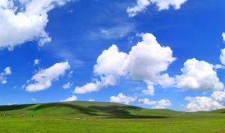 伊犁自由行攻略