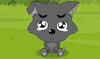 喜羊羊小灰灰上学记