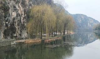 三月下雪有什么说法 三月下雪有什么说法