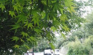 浙大紫金港校区 浙大紫金港校区