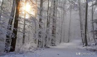 怎样游玩瓦屋山 怎样游玩瓦屋山