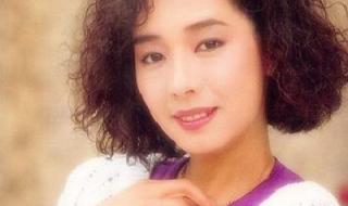 张国荣毛舜筠电影 张国荣毛舜筠电影