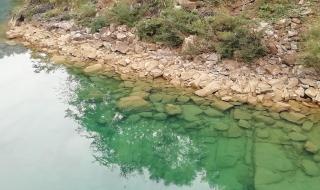 水之城最新秒怪 水之城最新秒怪