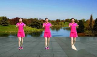 广场舞自由飞翔24步 广场舞自由飞翔24步