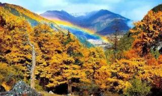 广西专科学校排名榜 广西专科学校排名榜