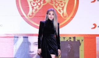 王若琳专辑 王若琳专辑