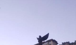 大庆创业城最新消息