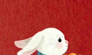 2023年属兔百年难遇 2023年属兔百年难遇