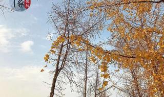 四川德阳建筑学院 四川德阳建筑学院