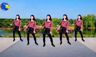 中老年广场舞教学 中老年广场舞教学