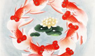 2023美好寓意的图片 2023美好寓意的图片