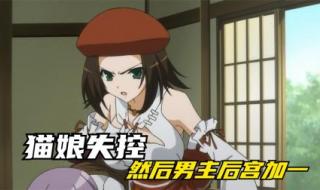 守护猫娘绯鞠图片