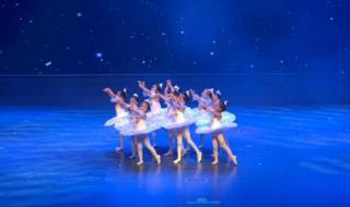 圆舞曲舞蹈 圆舞曲舞蹈