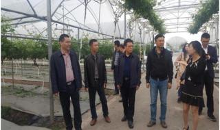 四川省国土资源厅 四川省国土资源厅