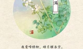 终归小满胜万全 终归小满胜万全