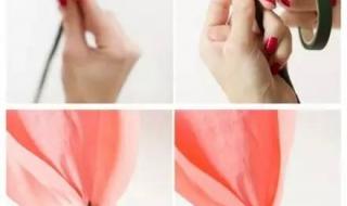 白玫瑰不能随便送人 白玫瑰不能随便送人