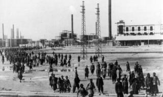 利比亚石油 利比亚石油