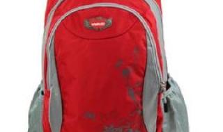 威豹双肩包 威豹双肩包