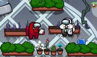 植物僵尸杀 植物僵尸杀