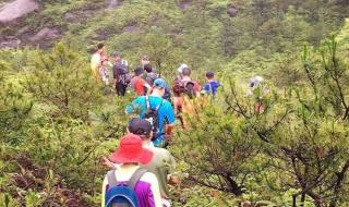 相逢在雨中 相逢在雨中