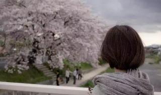 适合心情低落的朋友圈 适合心情低落的朋友圈