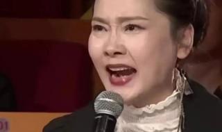 何赛飞回应痛斥梅花奖 何赛飞回应痛斥梅花奖