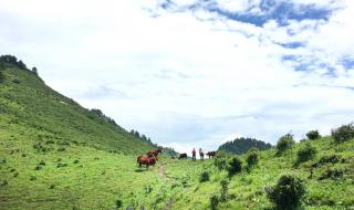石家庄驼梁云顶下雪了 石家庄驼梁云顶下雪了