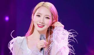 宇宙少女中国成员 宇宙少女中国成员