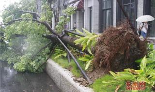 台风的名字怎么来的 台风的名字怎么来的