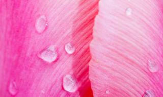 一按就透明的壁纸 一按就透明的壁纸