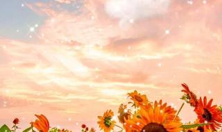 阳光且温柔自律且上进文案 积极向上阳光的文案