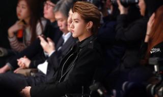 shineelucifermv shineelucifermv