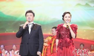 任鲁豫的个人资料简介