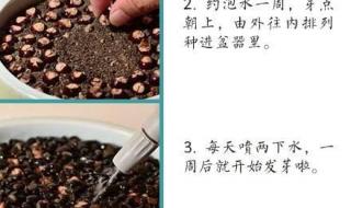 植树节小知识50字