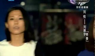 中国好声音刘振宇