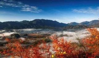 米仓山国家森林公园 米仓山国家森林公园