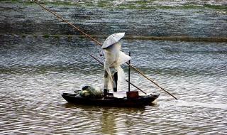 明天的天气预报情况