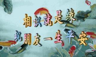 世上独一无二的你