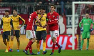 拉菲尼亚对拉菲尼亚 拉菲尼亚对拉菲尼亚