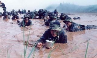 中国金牌总数排名